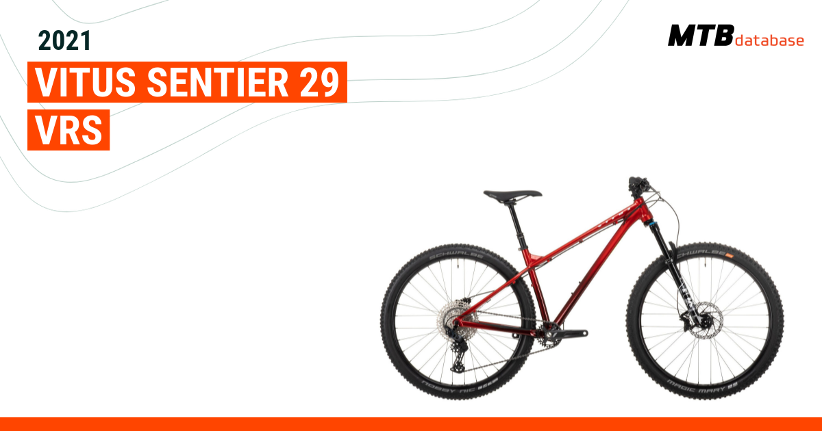 vitus sentier 29 vrs mountain bike 2021