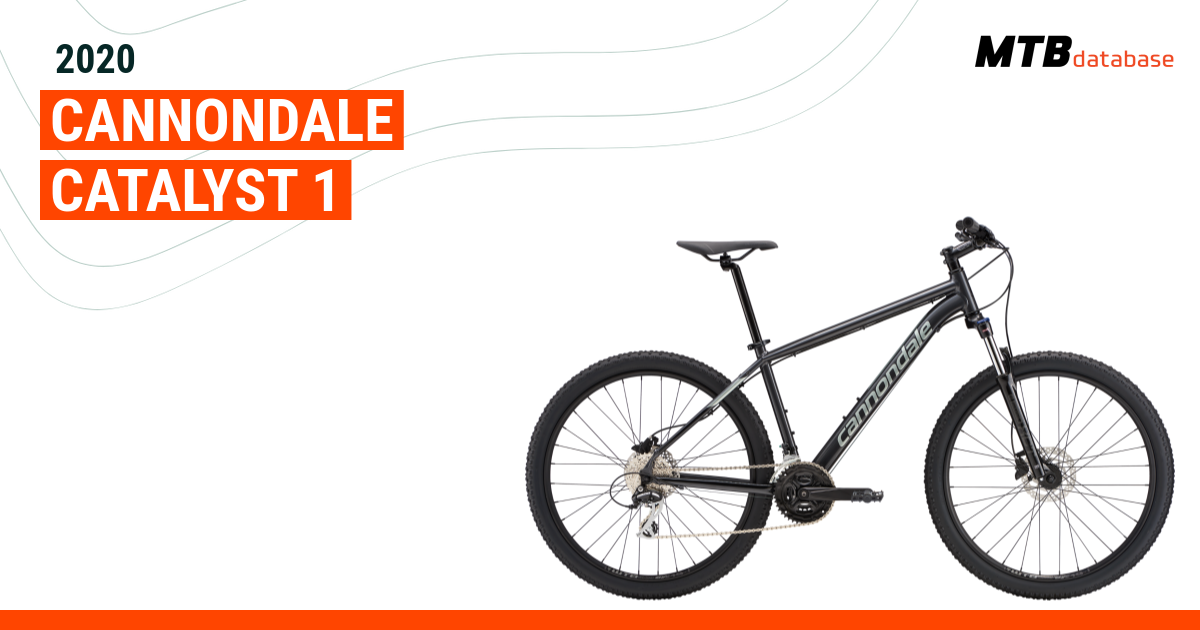 Cannondale catalyst 4 weight hot sale