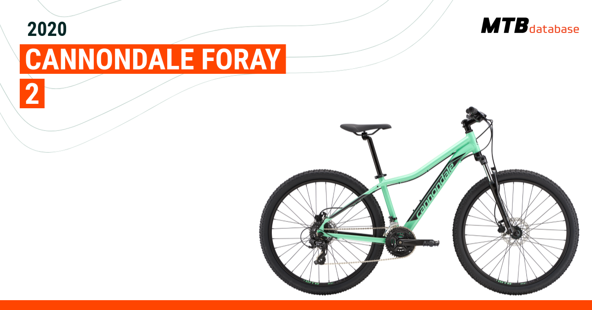 Cannondale foray size chart new arrivals