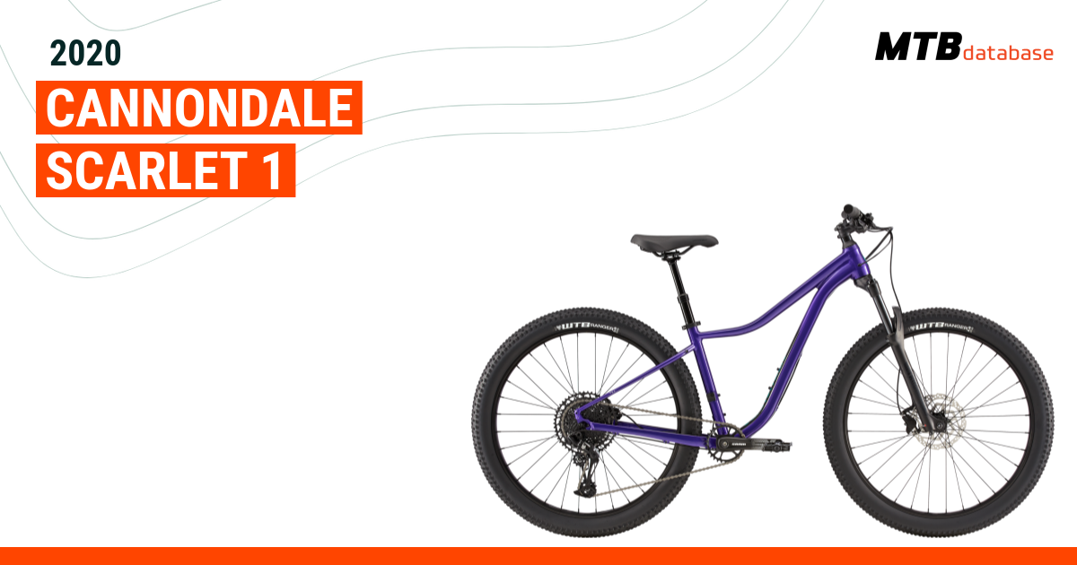 Cannondale scarlet sale 2020