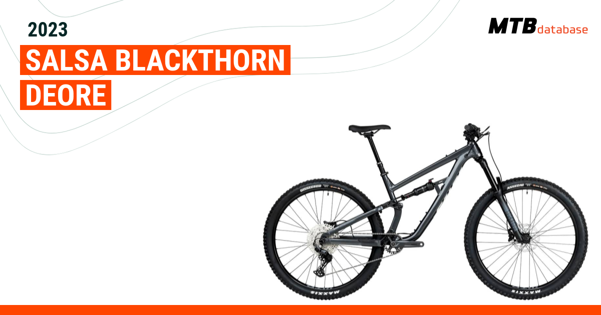 Salsa discount blackthorn deore