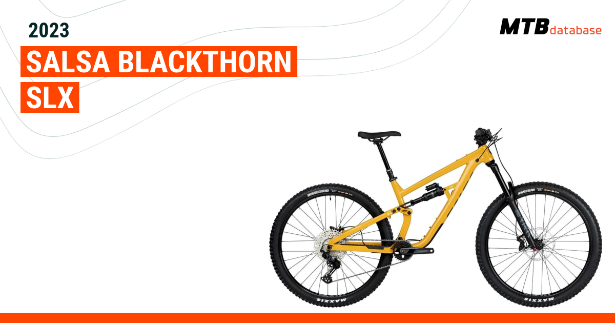 Salsa discount blackthorn slx