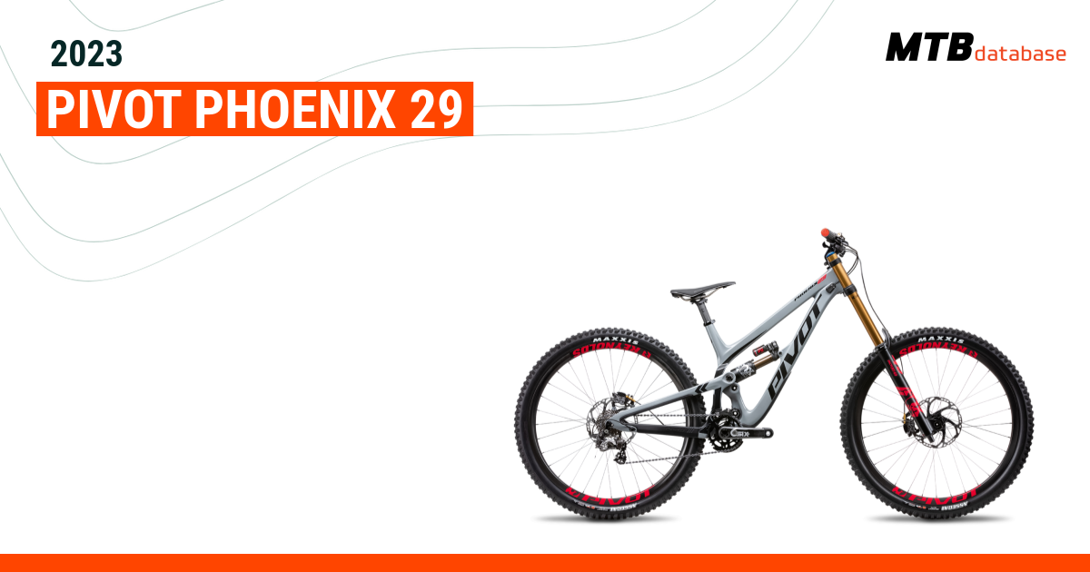 Silverback phoenix mountain bike cheap