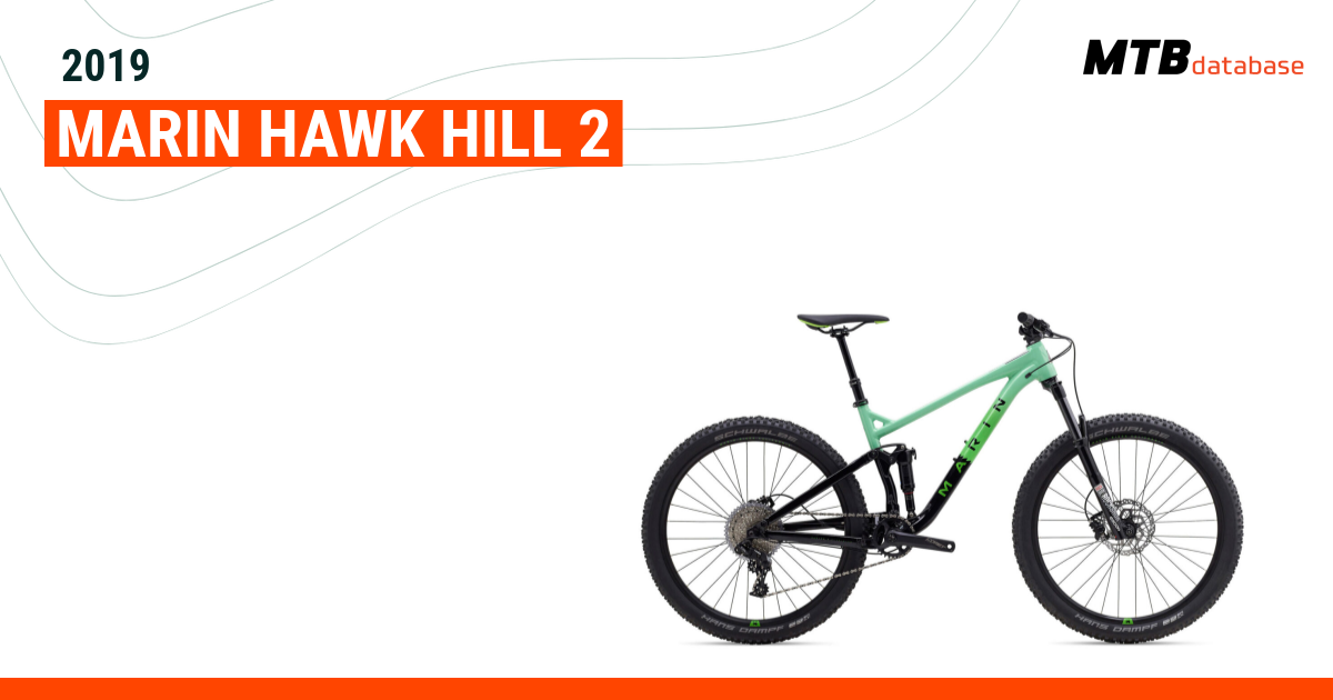 2019 hawk sale hill 2