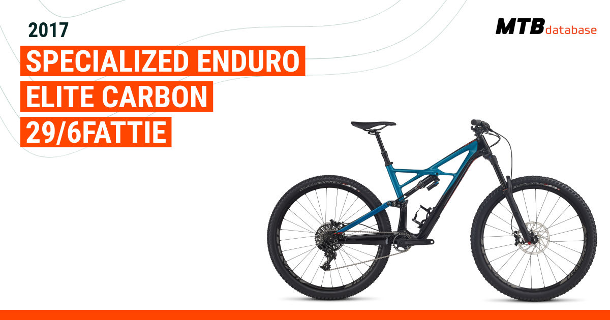 Specialized enduro best sale elite 2017 29