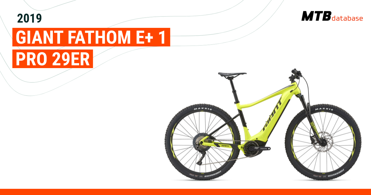 Fathom 2024 29er 2019