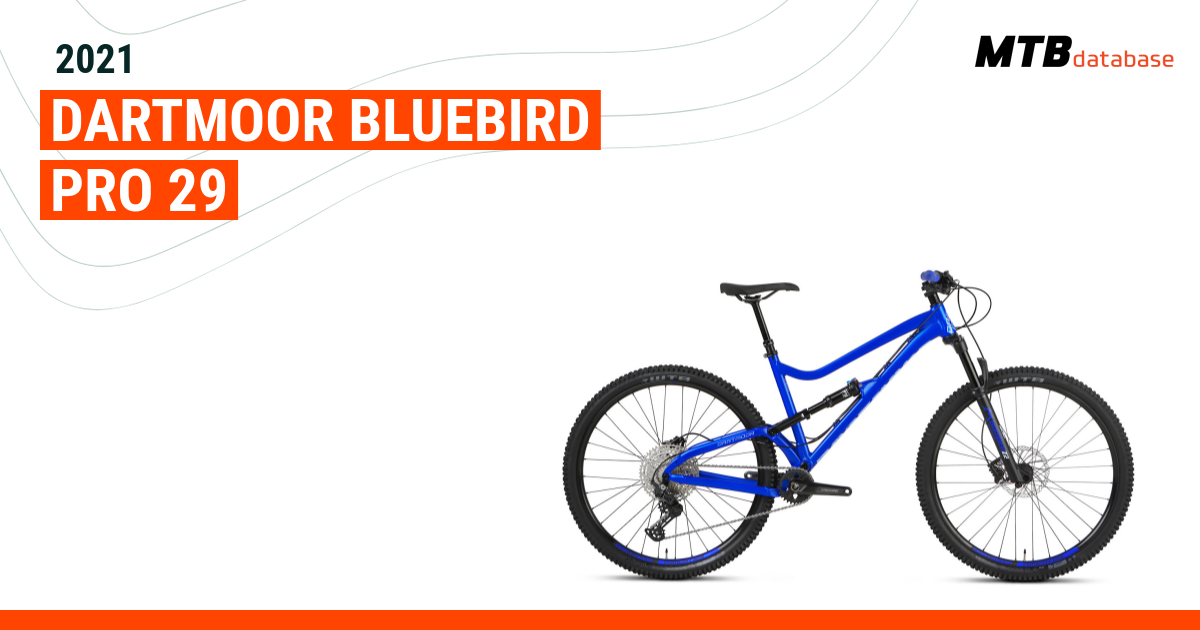 Bluebird store pro 29