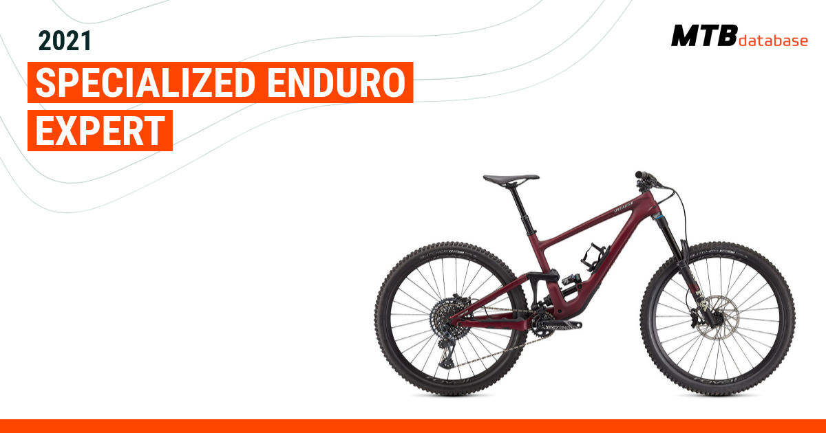 Specialized enduro expert online 2021