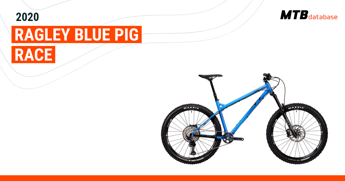 Ragley blue deals pig 2020