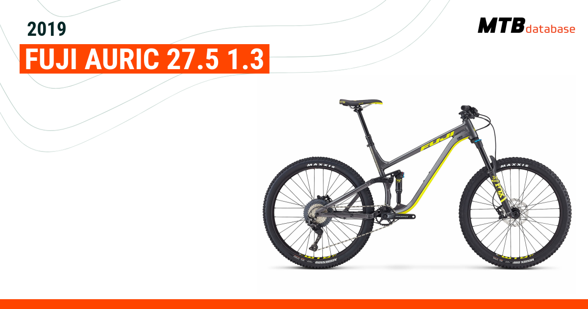 fuji auric 2020