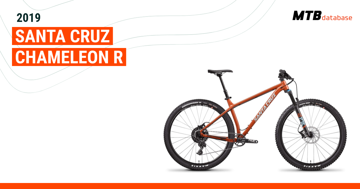 Santa cruz store chameleon orange