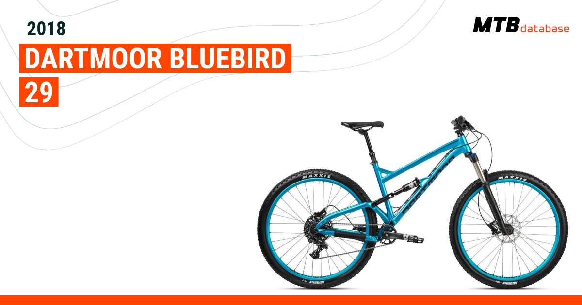 dartmoor bluebird 29 frame