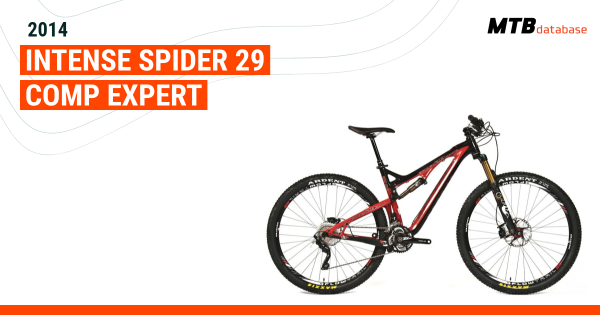 Intense discount spider 29