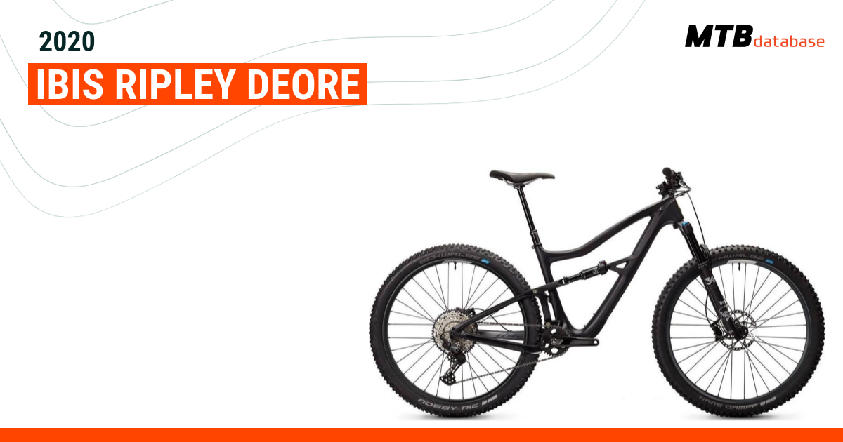 Ibis ripley 2020 cheap