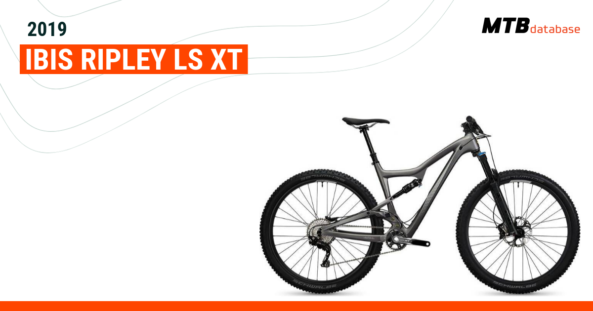 Ibis ripley cheap ls 2019 review