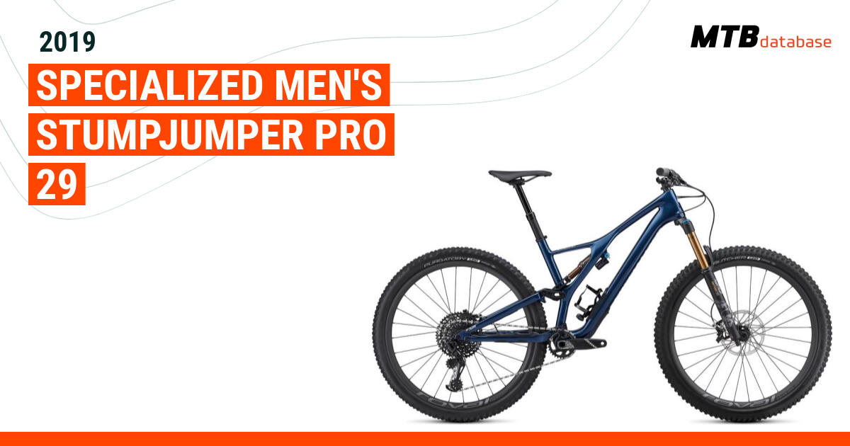 2019 specialized hot sale stumpjumper pro 29