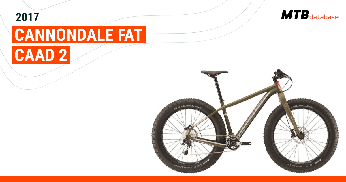 Cannondale fat caad online 2