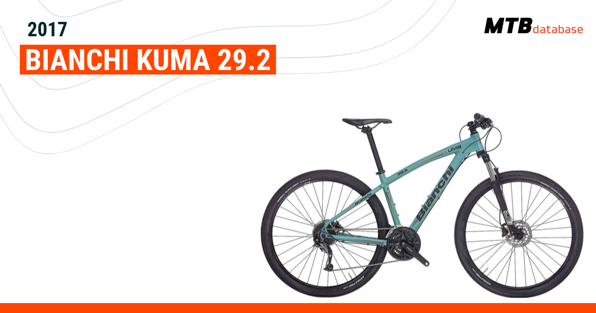 Bianchi 2024 kuma 29