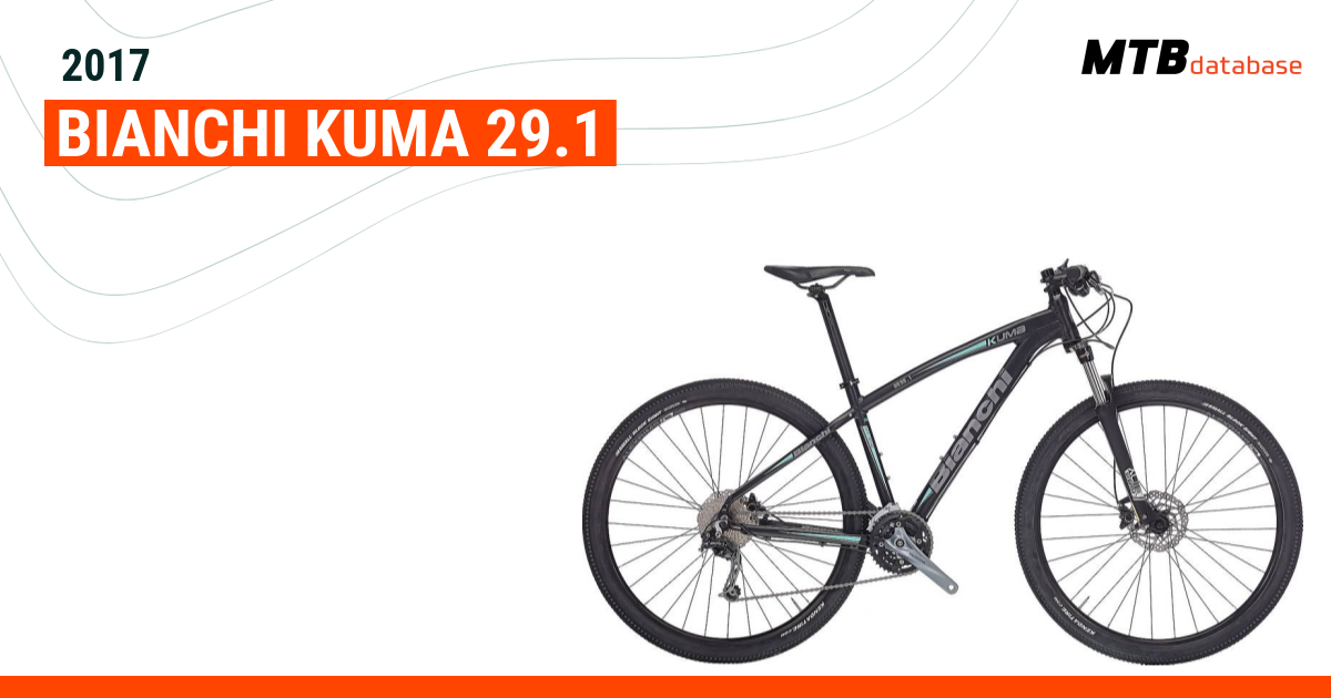 Bianchi deals kuma 29.1