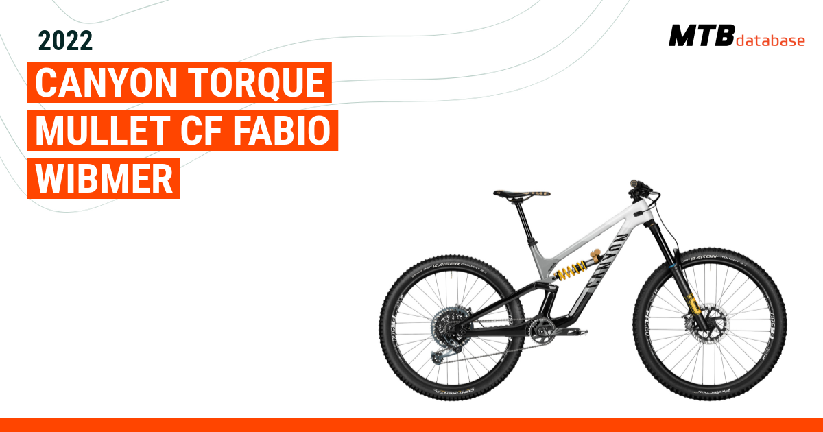 Fabio best sale wibmer torque