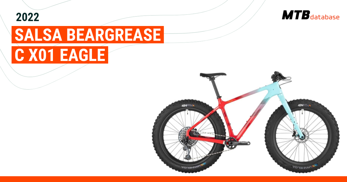 Salsa beargrease carbon online x01 eagle