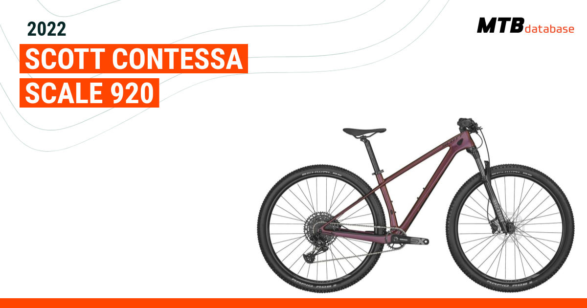 Contessa scale online 920