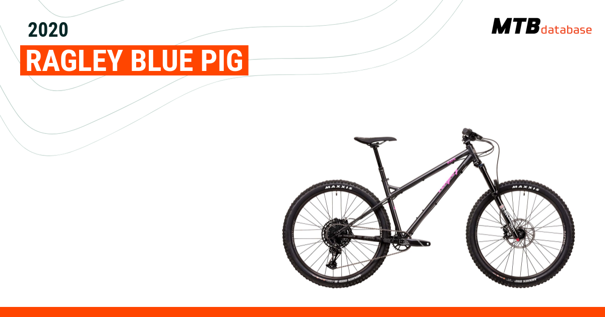 2020 ragley blue pig