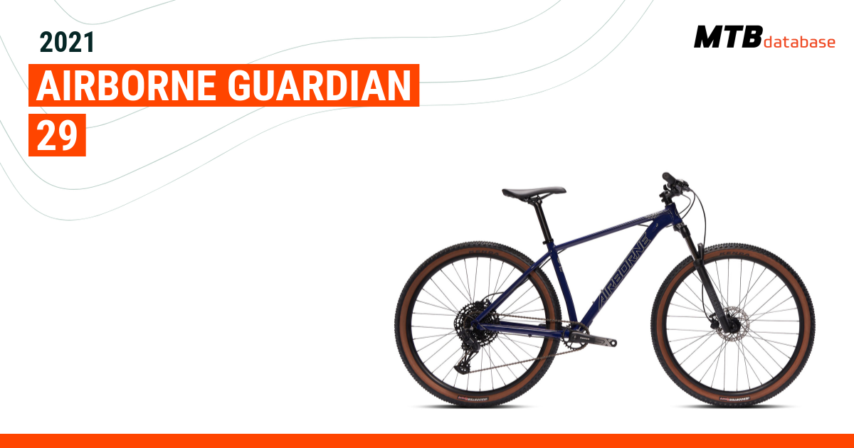 Airborne guardian online 29er