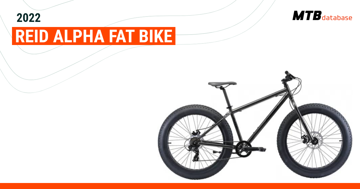 Alpha 2024 fat bike